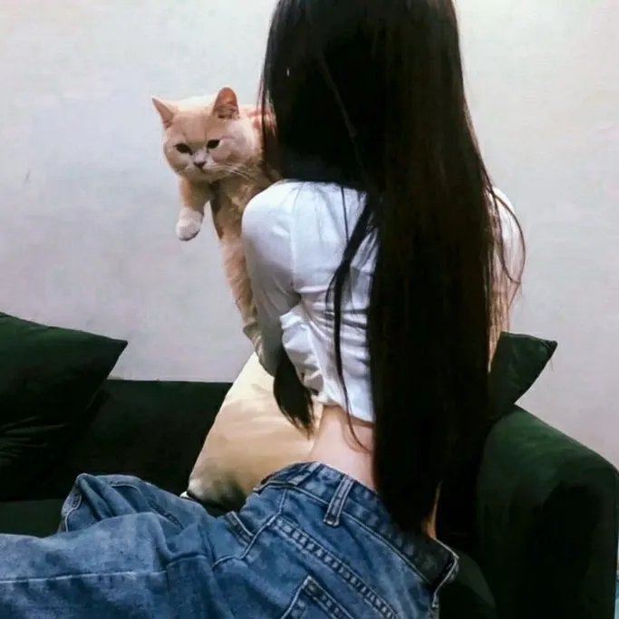 好歌有约
